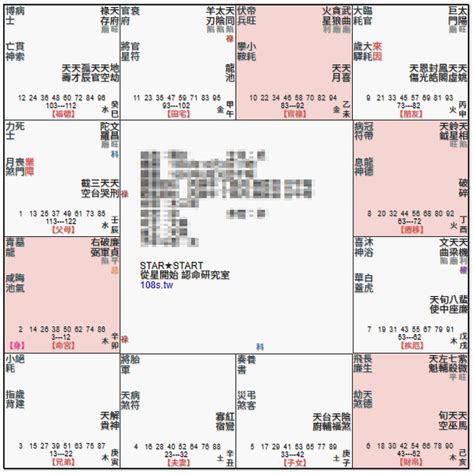 廉貞長相|紫微命盤解析——廉貞、天相星在子、午宮